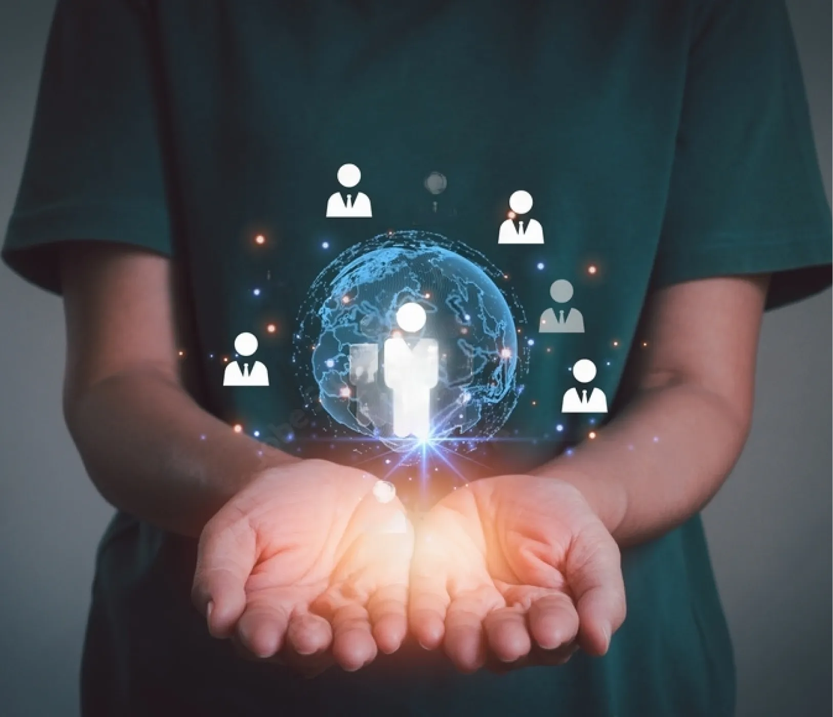 Comprehensive Range of Services